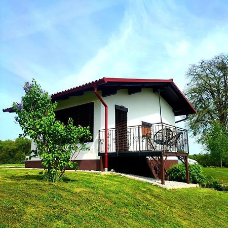 Sveti Jurij ob Scavnici Apartma Kapelski Fant מראה חיצוני תמונה